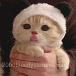 Avatar de Sofía Castillo